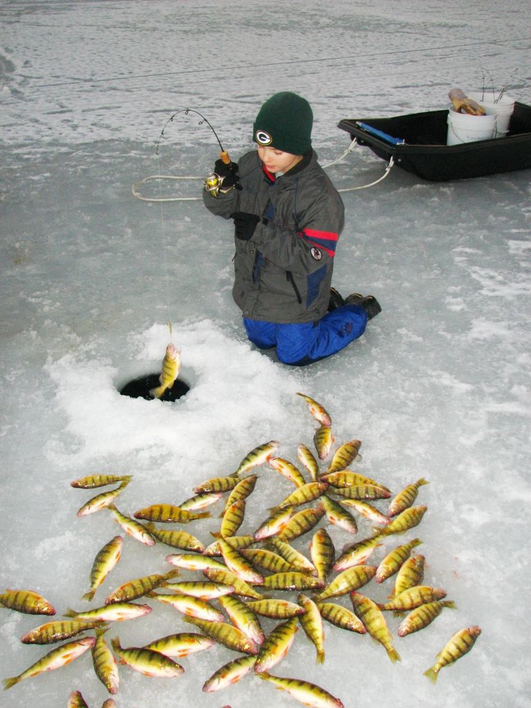 Plentiful perch
